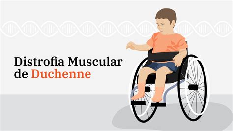 A Distrofia Muscular De Duchenne Enem