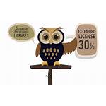 Owl Icons Royalty Flat License Standard