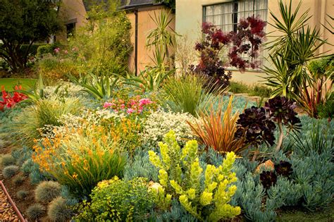 22 Drought Tolerant Landscaping Ideas Southern California Background
