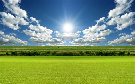 Sunny Day Wallpaper Desktop Wallpapersafari