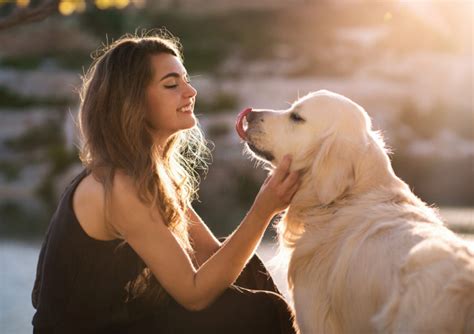 10 Most Affectionate Dog Breeds That Love To Cuddle Animal Encyclopedia