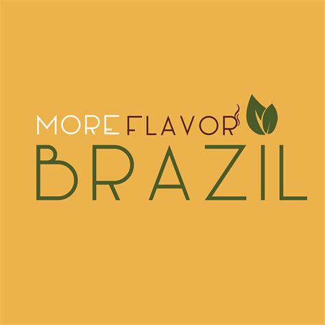 More Flavor Brazil Tampa Fl