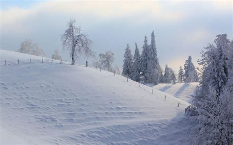 Hill Covered With Snow Wallpaper