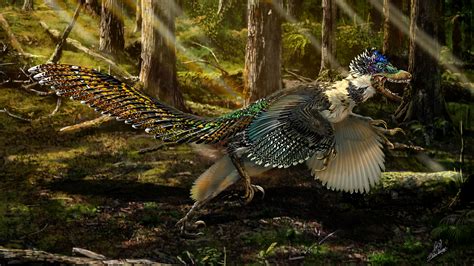 A New Feathered Velociraptor Was Unearthed In China — Quartz