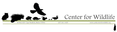Friends of Center for Wildlife Survey 2012