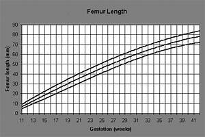 Fetus Growth Measurement Percentile Charts Graphs Calculator For Fetal