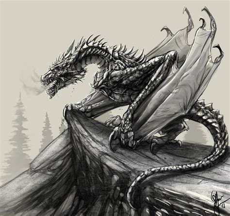 Dragon Sketch By ShaneTyreeArt Deviantart Com On DeviantArt Dragons Wyverns Pinterest