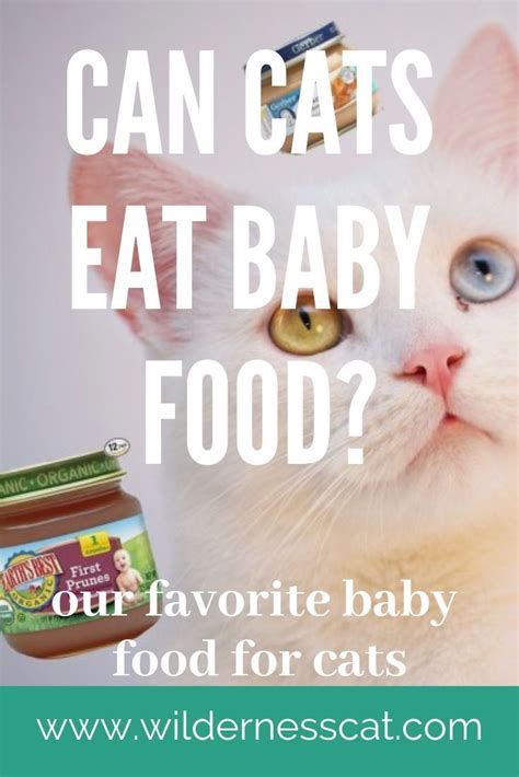 Unfortunately, very few studies have tested cbd on cats or he was taking prescription medication to help him digest his food better, but. Can Cats Eat Baby Food? Best Baby Food for Cats | Senior ...
