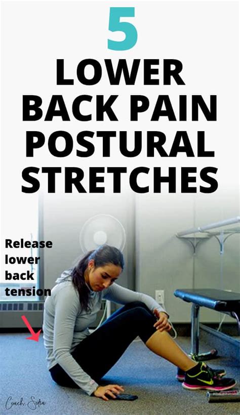 5 Moves For Instant Lower Back Pain Relief Coach Sofia Fitness