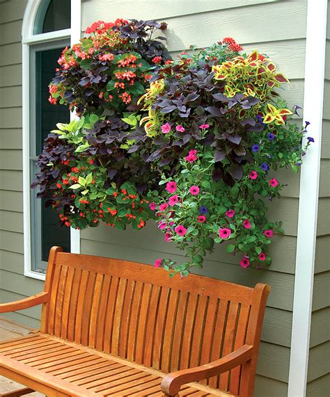 Maybe you would like to learn more about one of these? Window Box and Wall Planter Photo Gallery