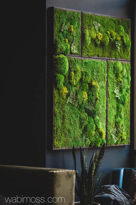 What's the best thing to do with preserved moss? 58x58" Real Preserved Moss Wall Art Green Wall Collage No ...