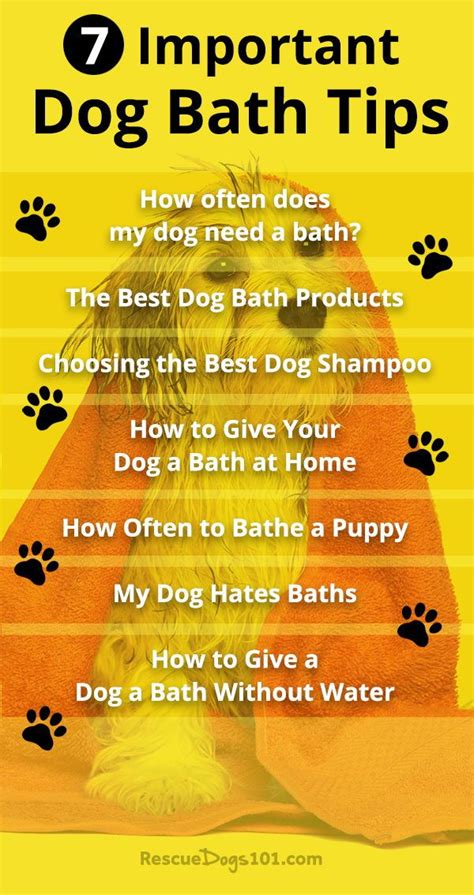 7 Important Dog Bathing Tips Dog Bath Bathing A Puppy Dog Cleaning