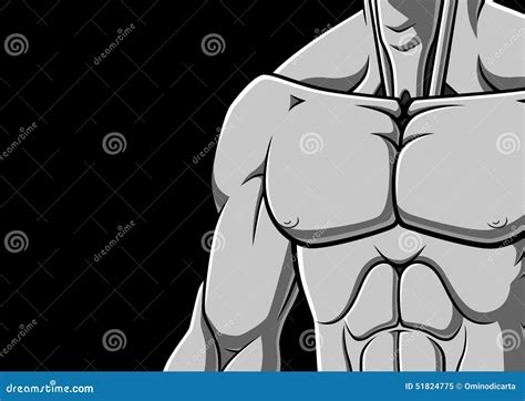 Muscular Chest Stock Vector Illustration Of Abdominal 51824775