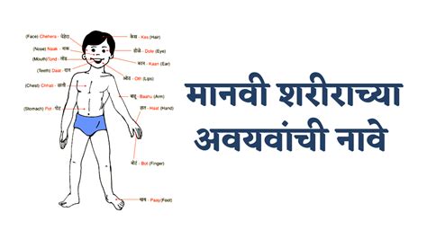 मराठी म्हणी व त्यांचे अर्थ Marathi Mhani With Meaning
