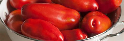 Check spelling or type a new query. Paste Tomato Seeds - Roma, Plum Varieties | Johnny's ...