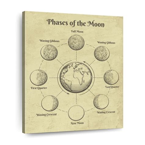 Vintage Moon Phases Wall Art Digital Art