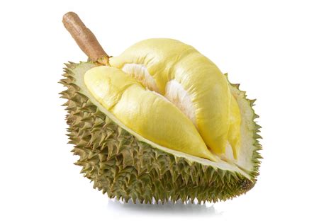 Discovering What Makes Durian Stink “king Of Fruits” Is Known For Its