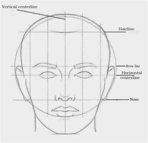 Drawings May 2014 Face Drawing Facial Proportions Face Proportions