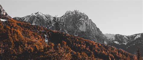 Download Wallpaper 2560x1080 Mountain Peak Trees Snow Landscape