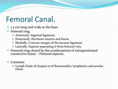 Ppt Femoral Triangle Powerpoint Presentation Free Download Id172635
