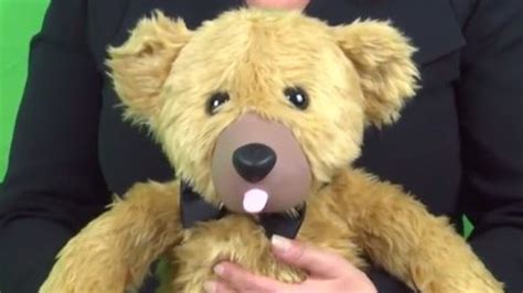 Teddy Bear Which Doubles Up As A Vibrator Seeks Crowd Funding Maybe