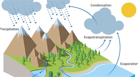 The Diagram Of The Water Cycle