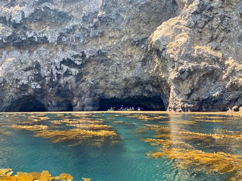 Siteline Exploring The Sea Caves Of Santa Cruz Island