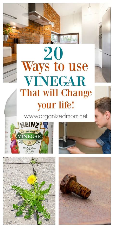 20 Ways Vinegar Can Change You Life Household Cleaning Tips Cleaner