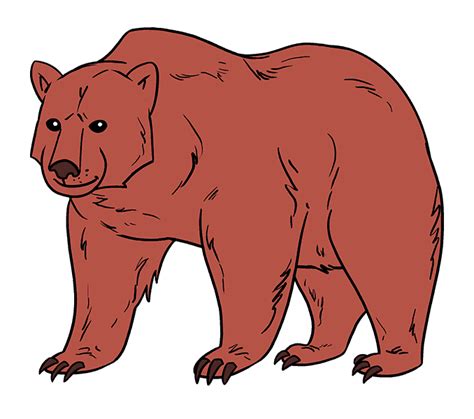 Polar Bear American Black Bear Drawing Clip Art Png 600x458px Clip