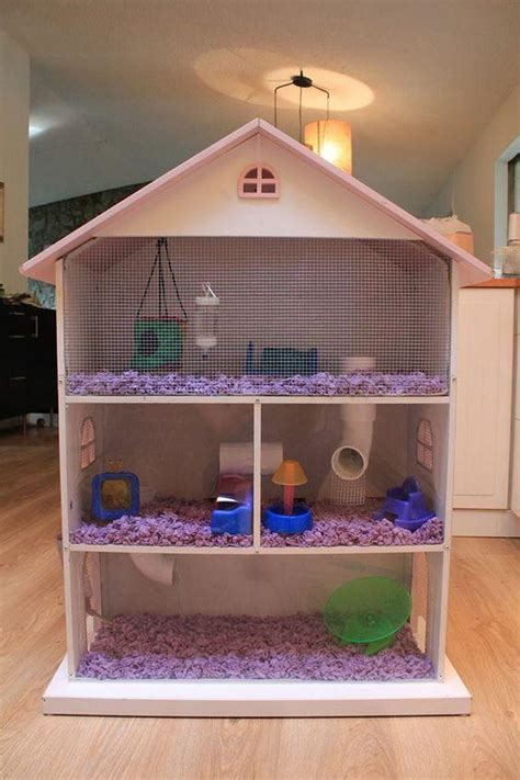 Amazing Hamster Cage Ideas All Pet Cages