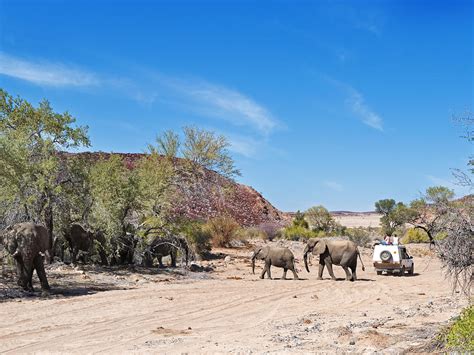 Uis Guesthouse Unterkünfte Namibia Reisen And Informationsportal