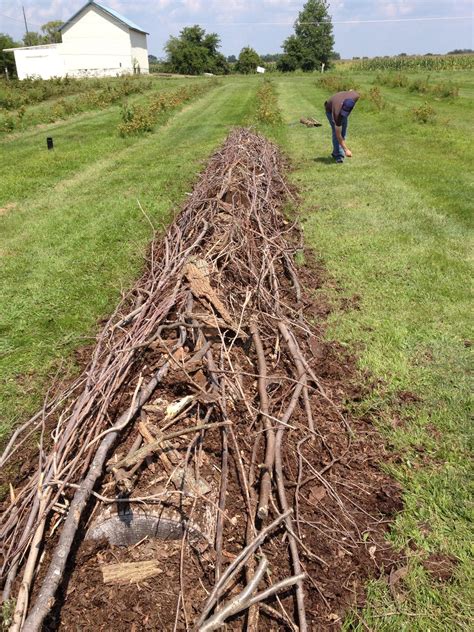 How to make vegetable garden mounds. Hugel Mound Gardening - Garden Ftempo