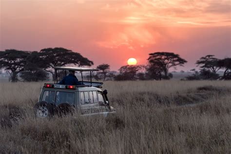 10 Reasons To Go On A South African Safari Secret Africa