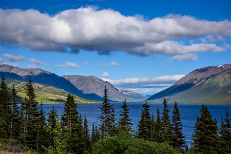 Northern Bc Yukon And Alaska Richard Mcguire Photo