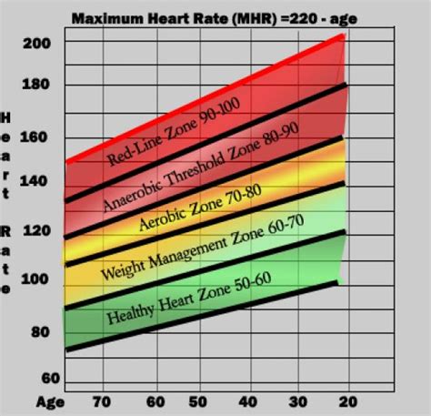 Basic Heart Rate Chart