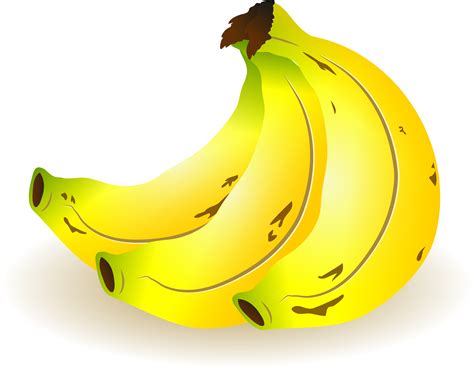 Bunch Of Bananas Free Images At Clker Vector Clip Art Online