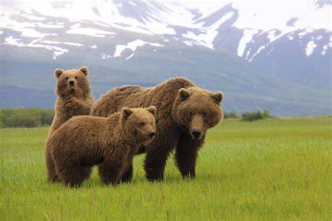 Best Place For Wildlife Winners 2015 10best Readers Choice Travel Awards