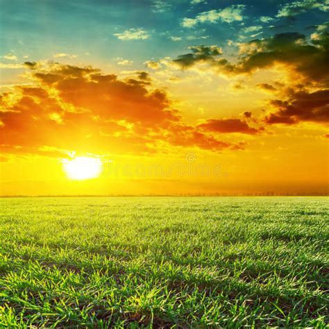 Sunset Over Green Grass Field Stock Image Image Of Background Dusk