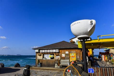 Bomnal Seaside Cafe In Jeju With Breathtaking Coastal View