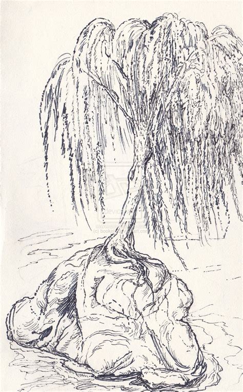 The willow tree is also representative of sadness. willow_tree_by_bookels-d6rorih.jpg (1024×1651) | Willow ...