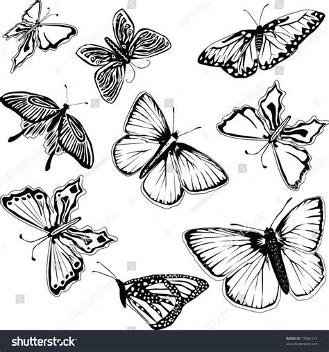 Set Black White Vector Butterflies Stock Vector 75892147 Shutterstock