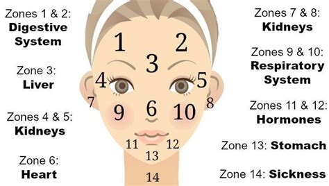 This Is The Face Acne Map According To Traditional Chinese Medicine