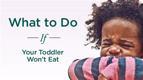 Toddler Wont Eat What Parents Should Do