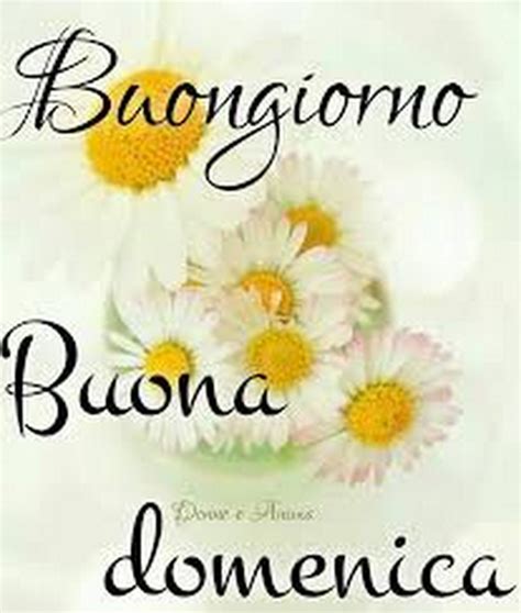 Buona Domenica con frase - BuongiornissimoCaffe.it