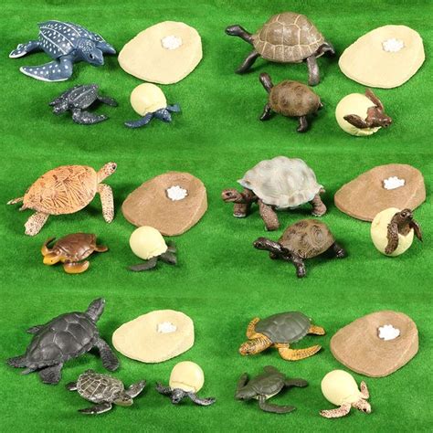Simulation Action Figure Toys Animal Grown Cycle Sea Turtletortoise