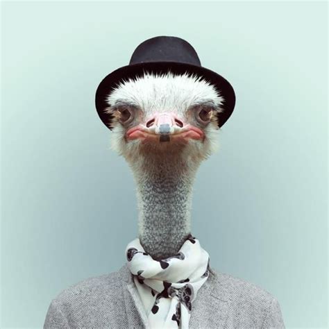 Zoo Portraits Is A Funny Photo Series By Barcelona Based Photographer