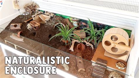 At liberty landscape supply we pride ourselves on the quality of our products. naturalistic enclosure | Hamster diy cage, Hamster habitat ...