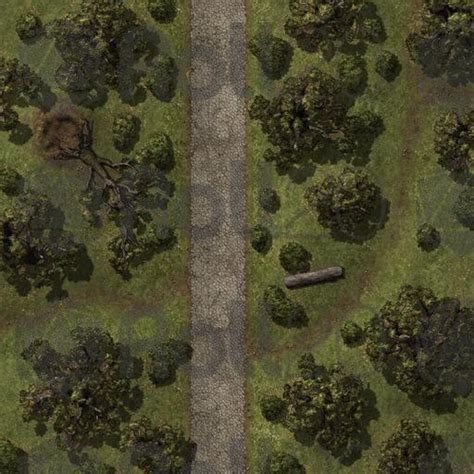 Forest Map Dd Maping Resources