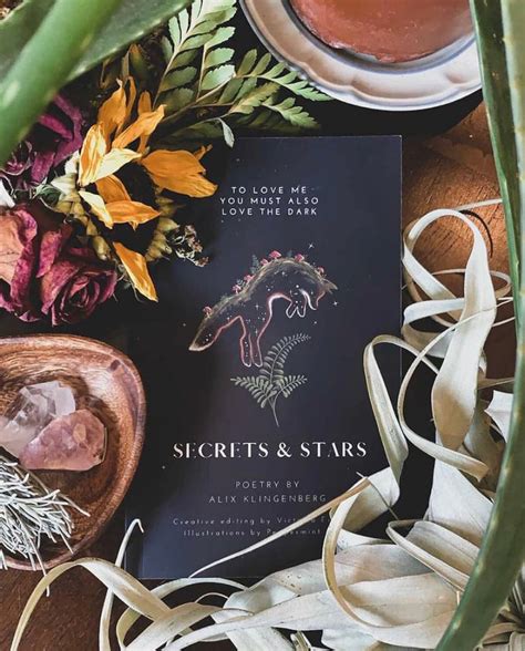 Secrets And Stars Poets Garden Alchemist