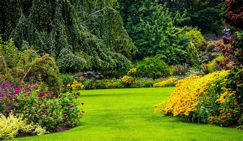 Gratis untuk komersial tidak perlu kredit bebas hak cipta. Canada Gardens Vancouver Shrubs Trees Lawn Queen Elizabeth ...